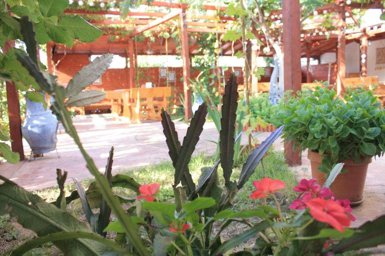 Alba Family Club Hotel Primorsko Esterno foto